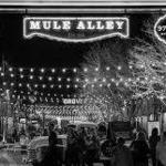 Mule Alley