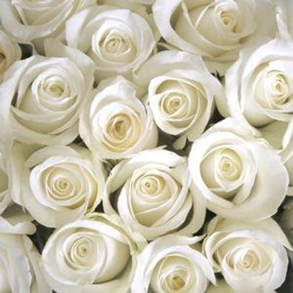 Wedding Gift