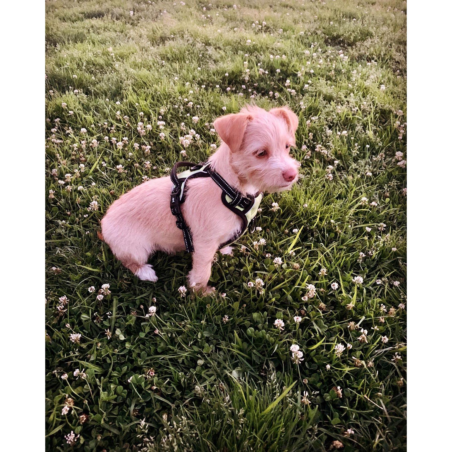 Our special boy