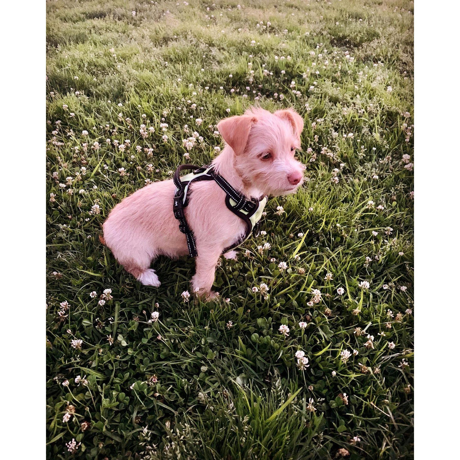 Our special boy