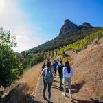 malibu wine hikes