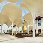 Blanton Museum of Art