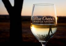 Blue Ostrich Winery & Vineyard
