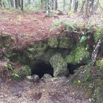 Withlacoochee State Forest