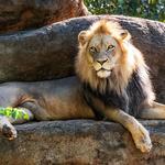 Philadelphia Zoo
