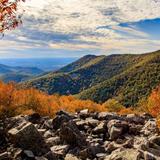 Shenandoah National Park