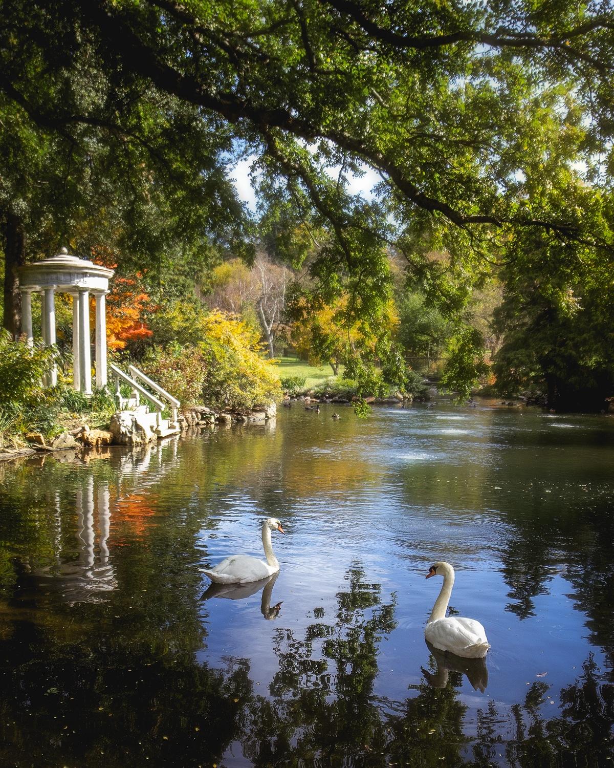 The Wedding Website of Serenity Lalita Lillibridge and Roger Olin Vitek