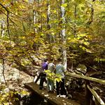 Appalachian Trail