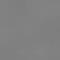 Arctic Gray
