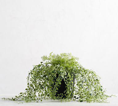 Faux Potted Trailing Fern