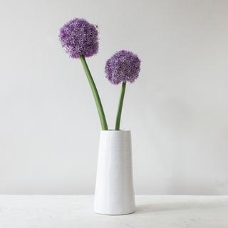 Morandi Table Vase