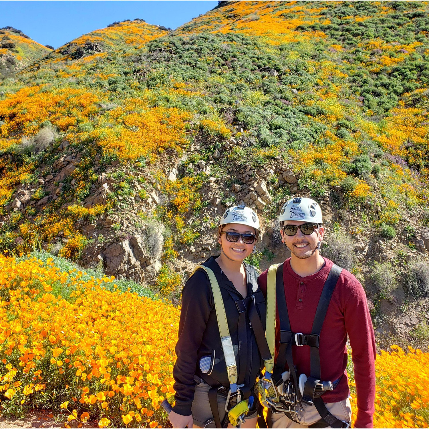 We got to see the California poppies when they bloomed this year. We even got to zipline over them!