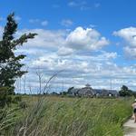 The Wetlands Institute