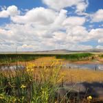 Star Valley Scenic Byway