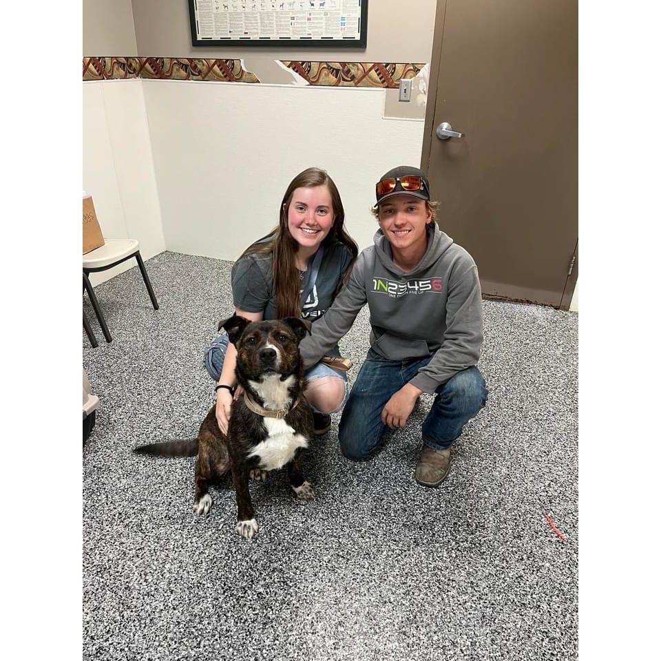 Adopting Mister Riggs to the family.