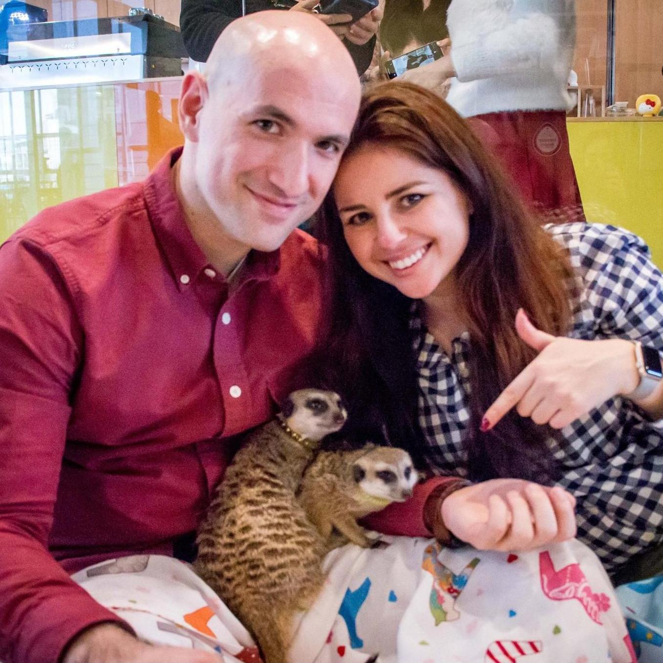 One of the many cute animal cafes that Lily convinced Steven they *had to* visit in South Korea