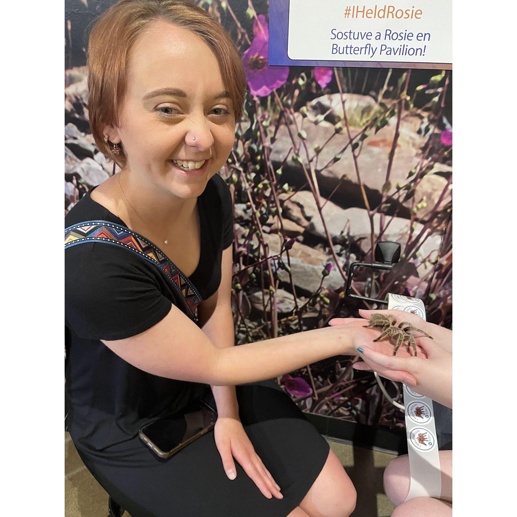 A trip to the Butterfly Pavilion to hold Rosie the tarantula! 🕷️🦋✨