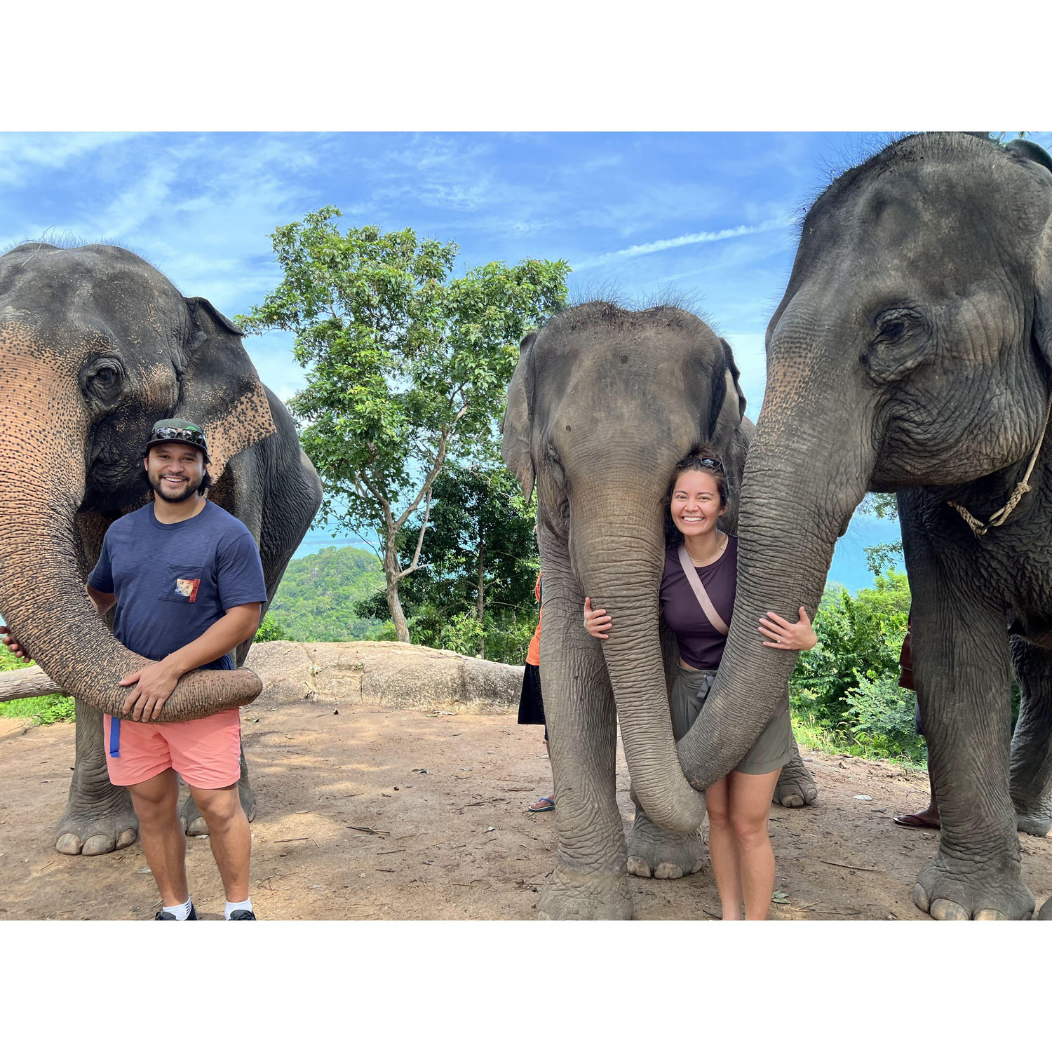 Frolicking with elephants in Thailand