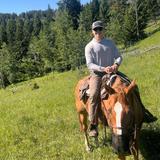 Horseback Rides