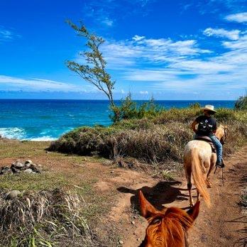 West Maui Mountain Waterfall and Ocean Tour via Horseback