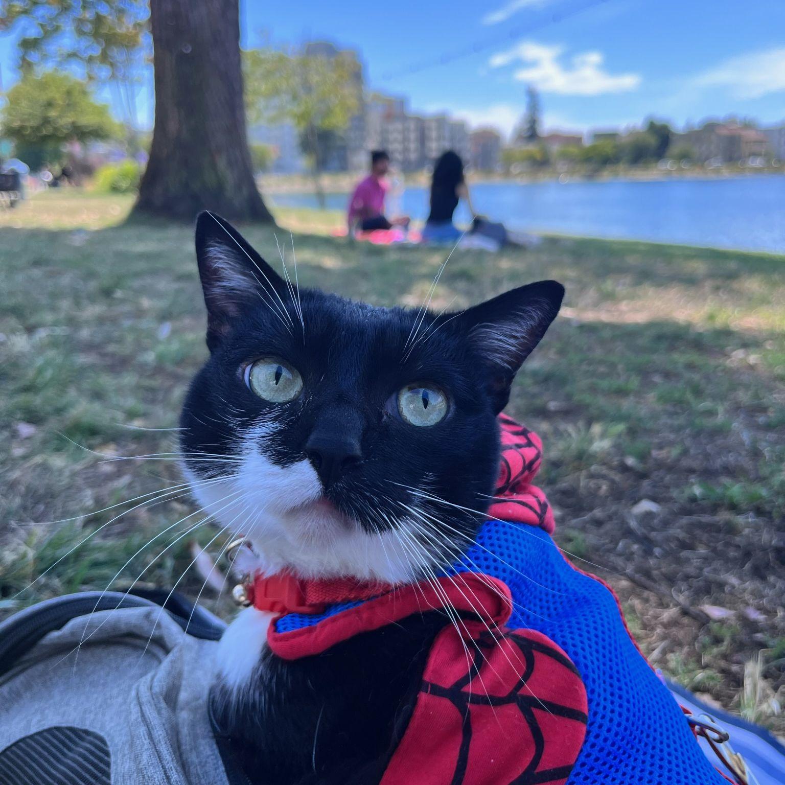 Lakeside picnic with Freya