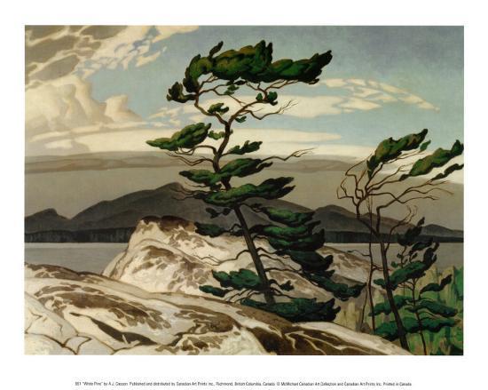 White Pine - Framed Print