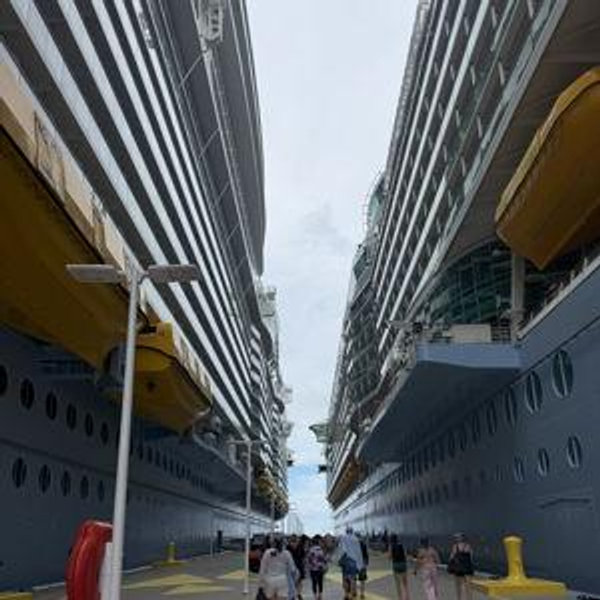 Cruise Honeymoon Fund!