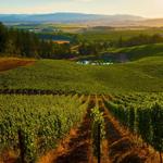 Eola Hills Wine Cellars