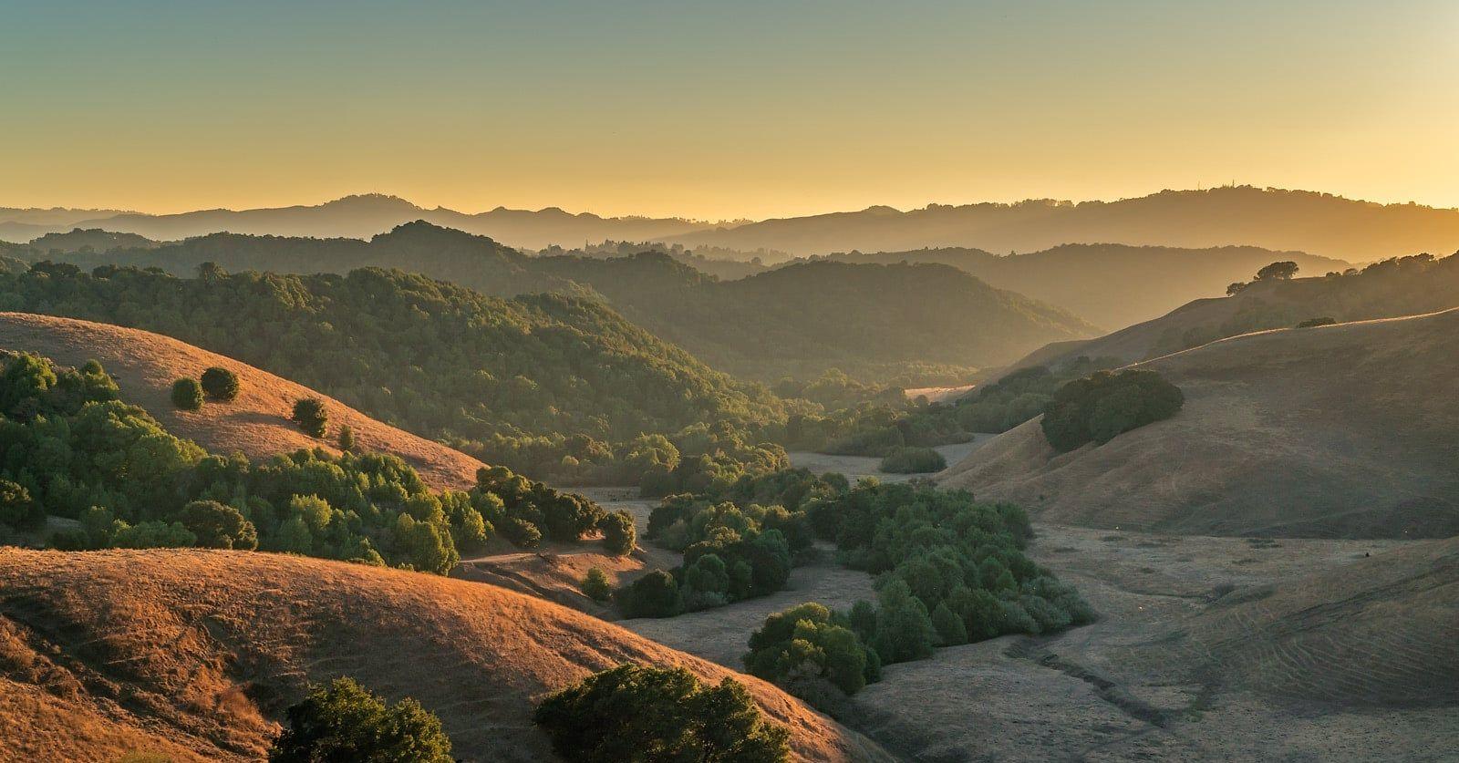 The Wedding Website of Montana Nielson and Nick Muetterties