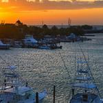 Fishing Charters
