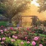 Columbus Park of Roses
