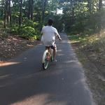 Cape Cod Rail Trail