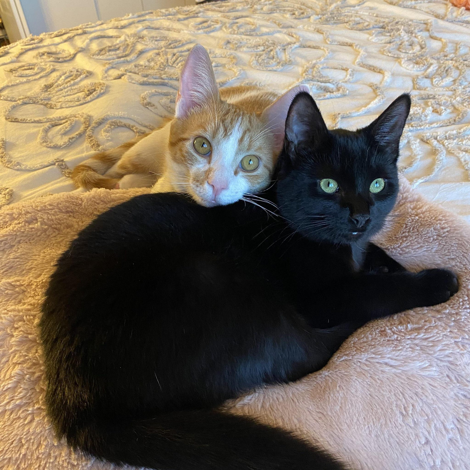 Baby's #2 and #3 - Oliver and Mila