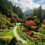 The Butchart Gardens