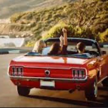 Rental Car