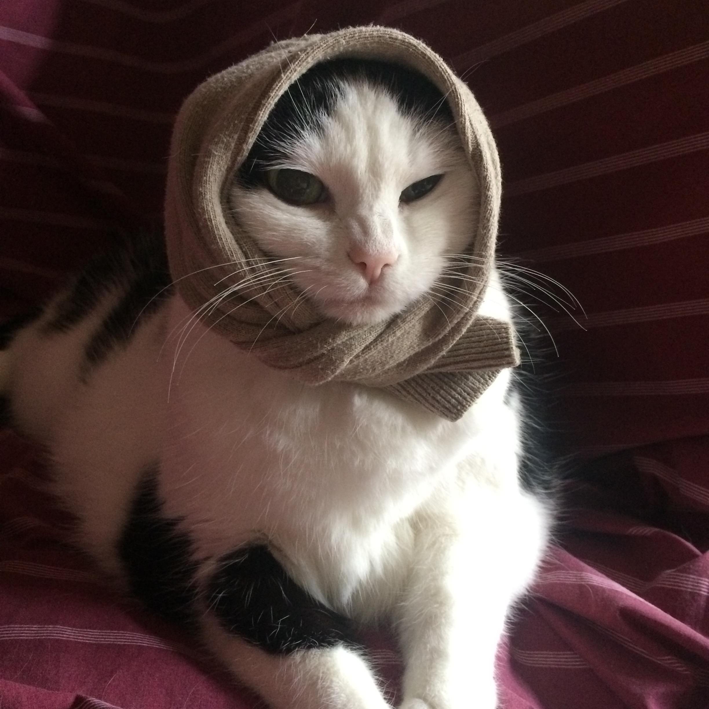 Dan loves dressing Emma up... she's not too thrilled but she plays along for a little bit.