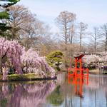 Brooklyn Botanic Garden