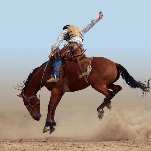 Honeymoon - Attend Rodeo