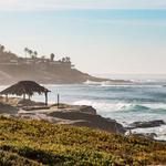 Windansea Beach