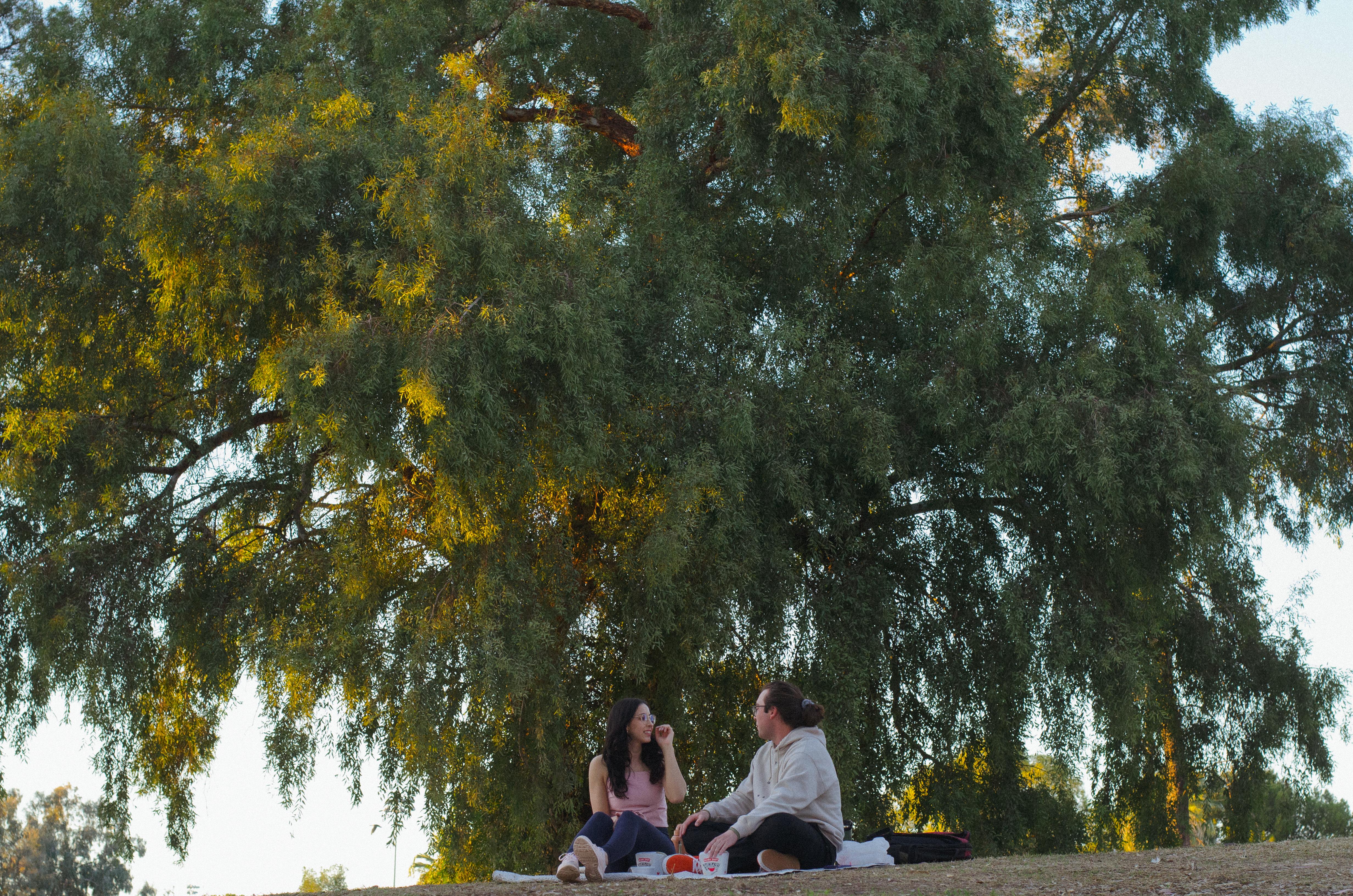 The Wedding Website of Gabriella Abou-Zeid and Nicholas Allen