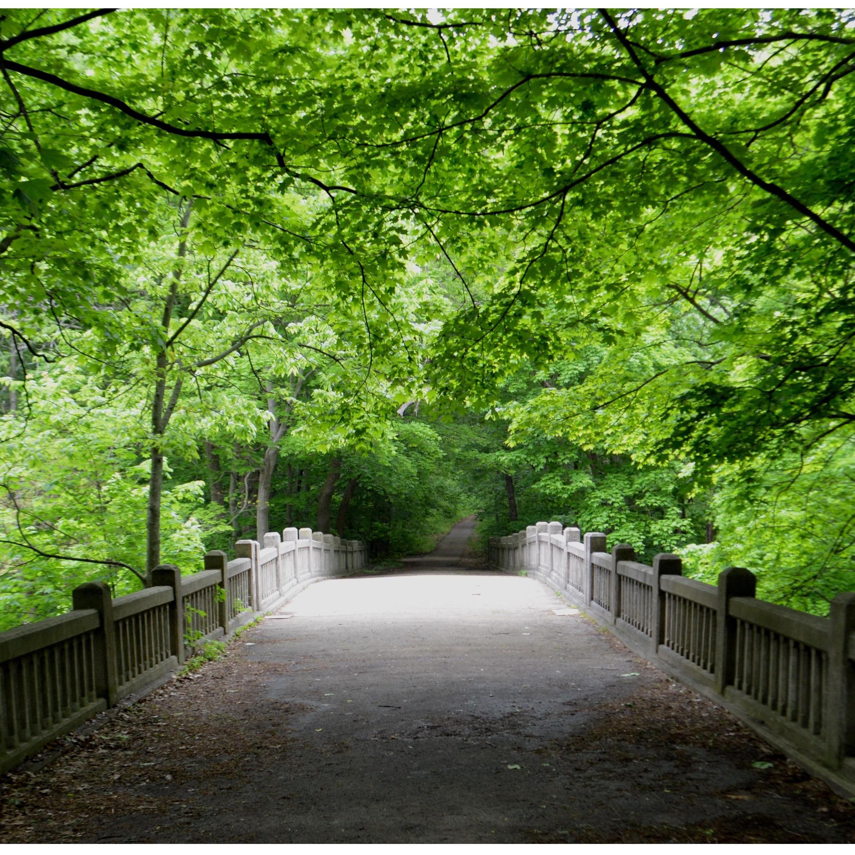 The bridge where Ryan proposed !