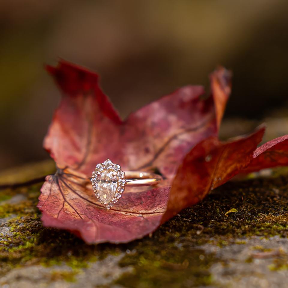 The Wedding Website of Jonathan Payne and Lindsey Siegel