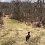 Playwicki Farm