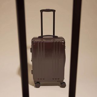 Ambeur 20" Carry-On Spinner