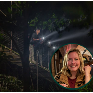 The "Creatures of the Night" Expedition (Kyla's edition)