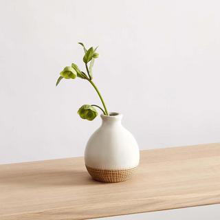 Ashe Ceramic Vase