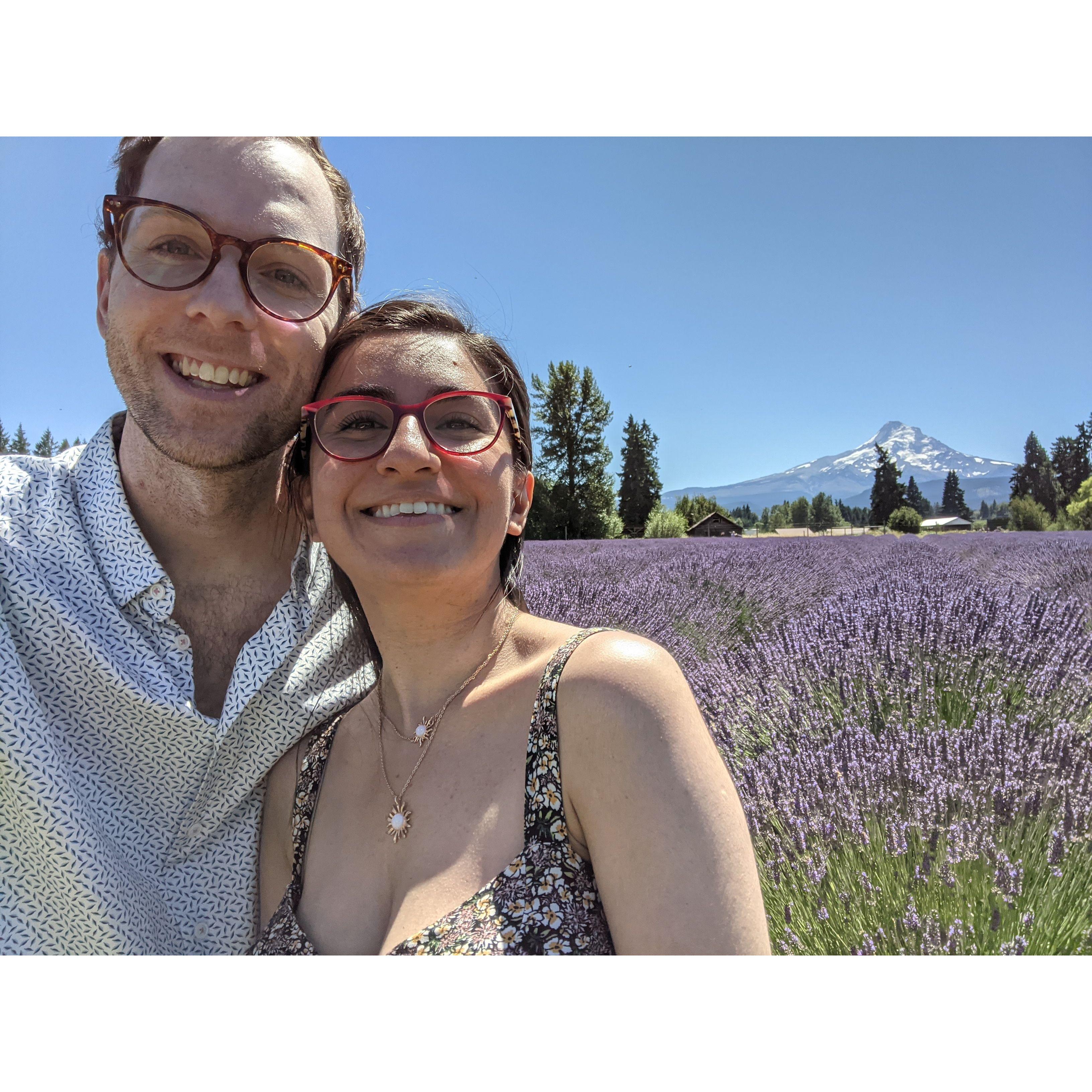 Lavender Valley in Mt. Hood - July 2021