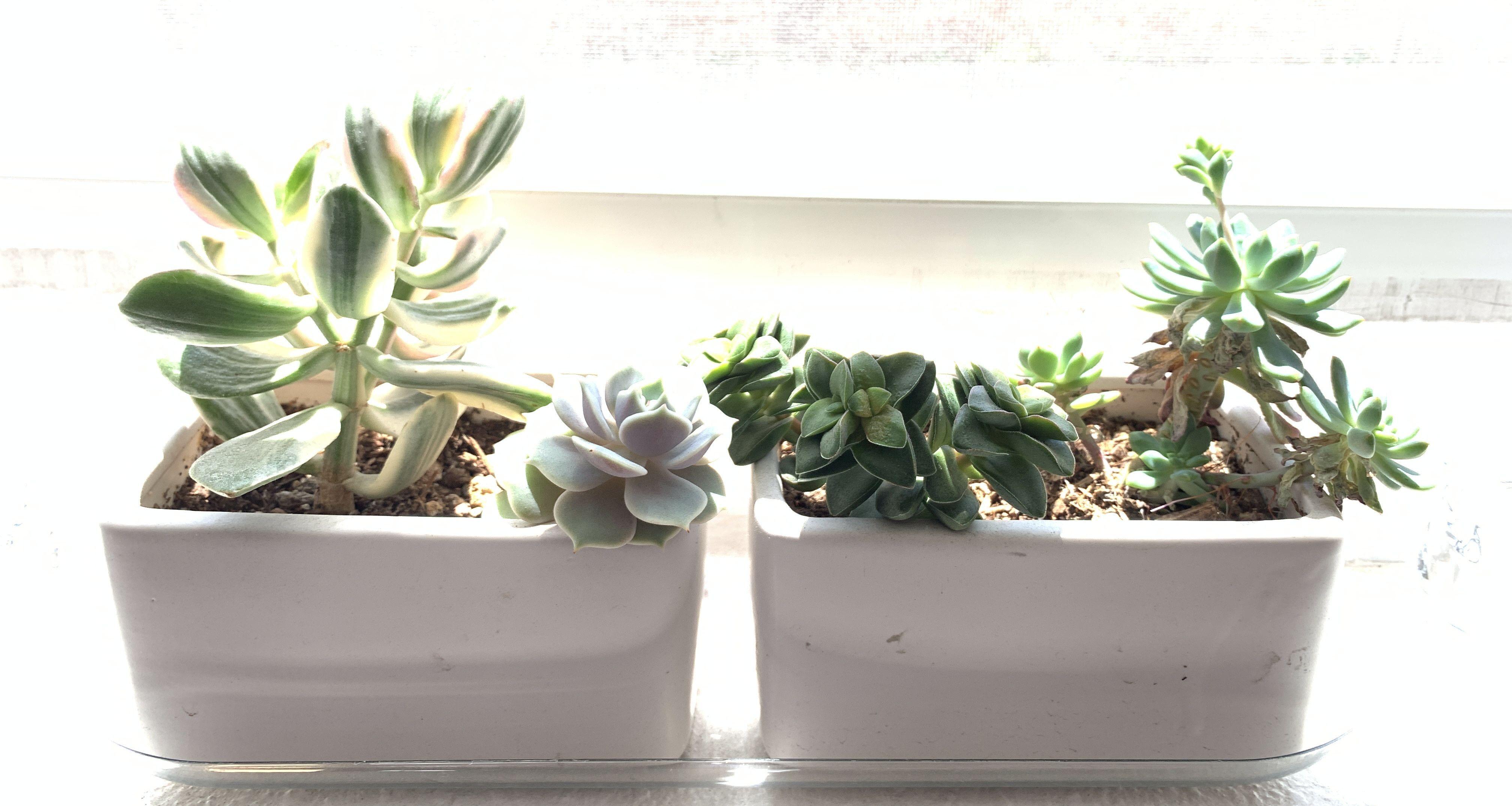 17100210-58cf-4f39-9f87-8d7bdf06f3bb