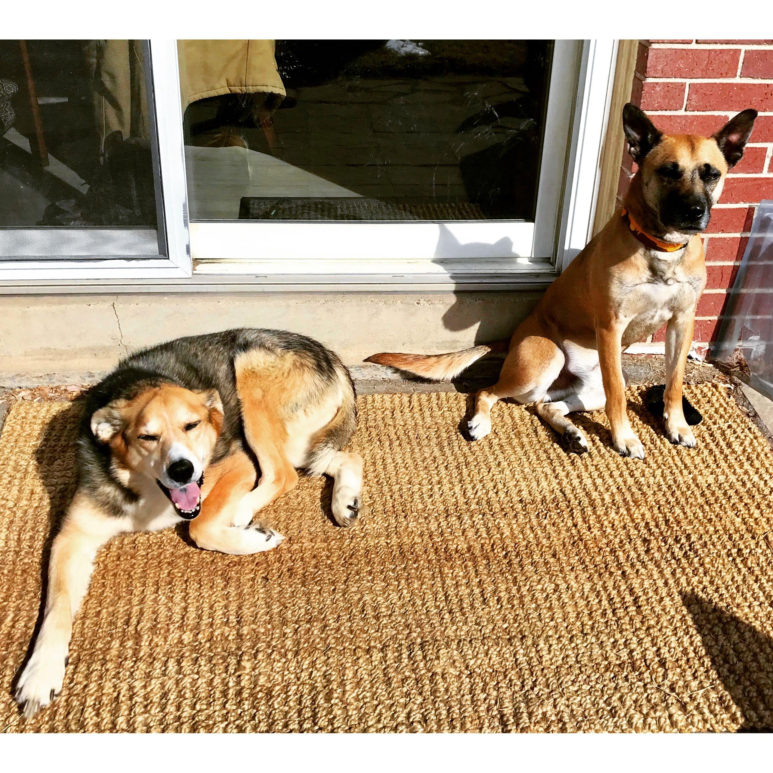 Duke with his mentor & landlord, Marley