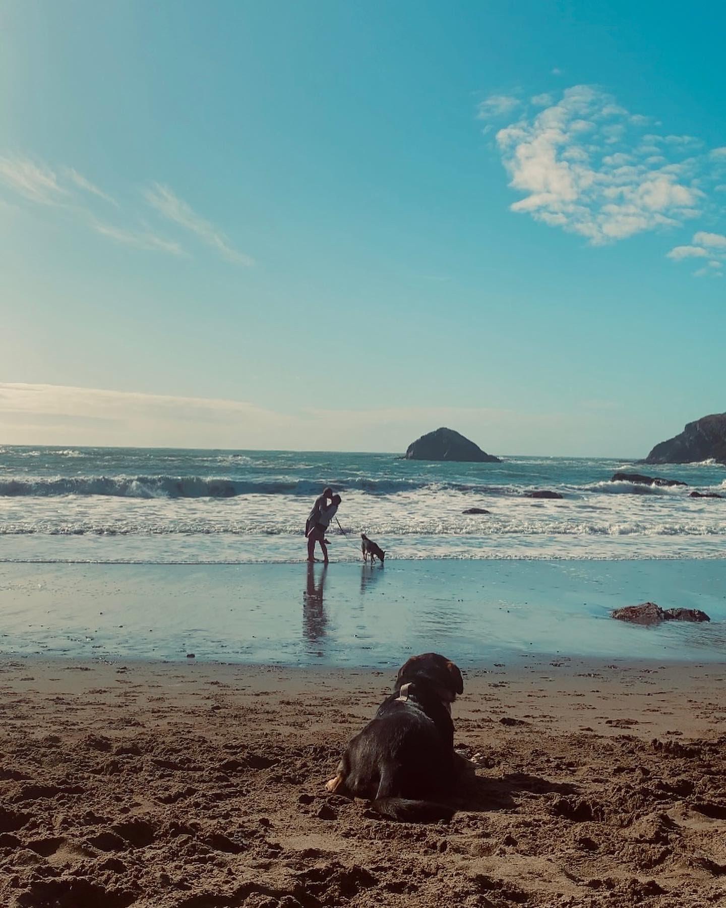 1713302f-ca2c-4f31-bd59-684994e65c71